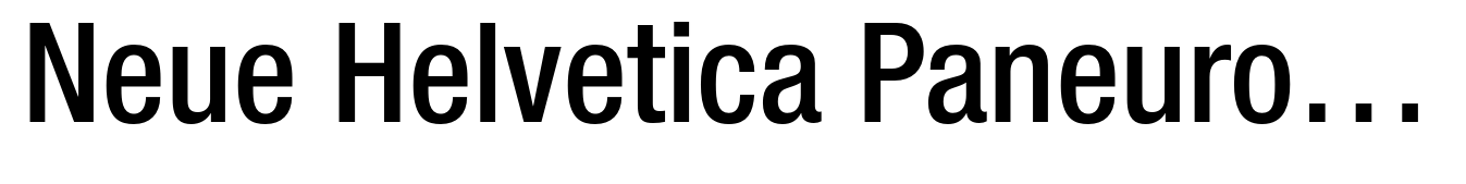 Neue Helvetica Paneuropean 67 Condensed Medium